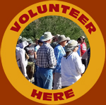 Volunteer Here