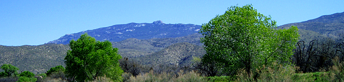 Rincon mountains photo